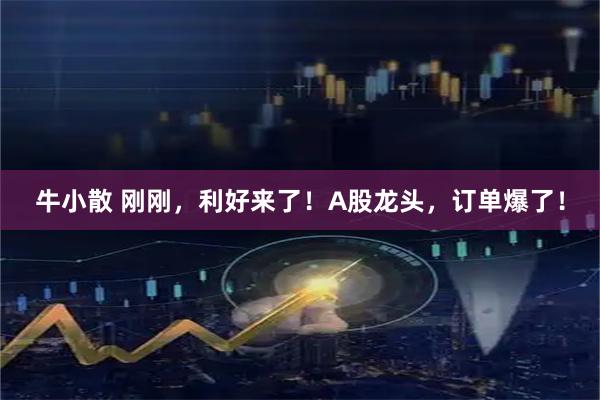 牛小散 刚刚，利好来了！A股龙头，订单爆了！