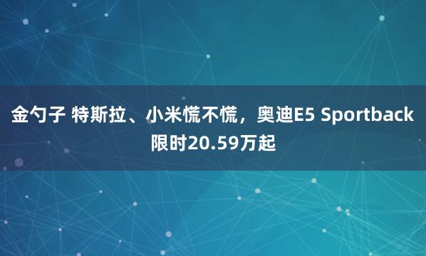 金勺子 特斯拉、小米慌不慌，奥迪E5 Sportback限时20.59万起