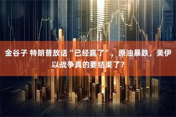 金谷子 特朗普放话“已经赢了”，原油暴跌，美伊以战争真的要结束了？