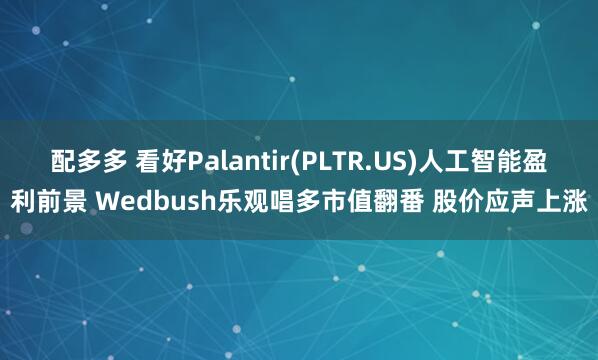配多多 看好Palantir(PLTR.US)人工智能盈利前景 Wedbush乐观唱多市值翻番 股价应声上涨