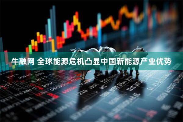牛融网 全球能源危机凸显中国新能源产业优势