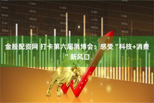 金股配资网 打卡第六届消博会：感受“科技+消费”新风口