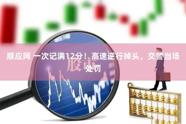 顺应网 一次记满12分！高速逆行掉头，交警当场处罚